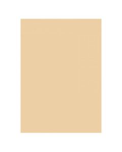 Folia Karton 300g 70x100cm 10 Ark Beige